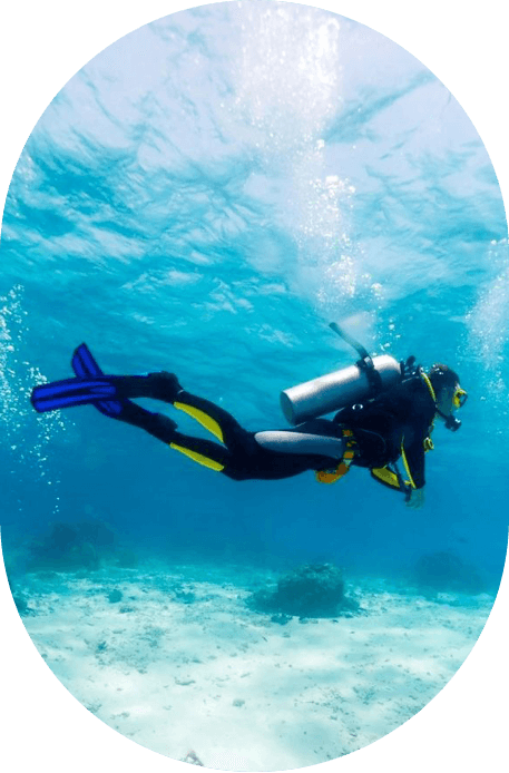 Sea Robin Cozumel