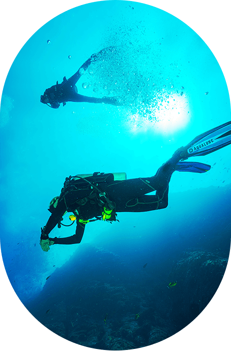 Sea Robin Cozumel