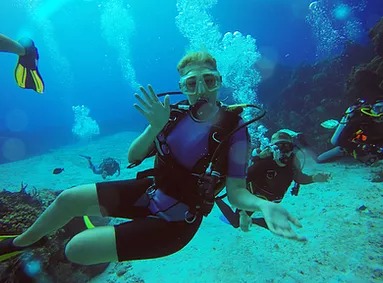 Sea Robin Cozumel