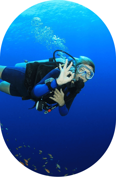 Sea Robin Cozumel