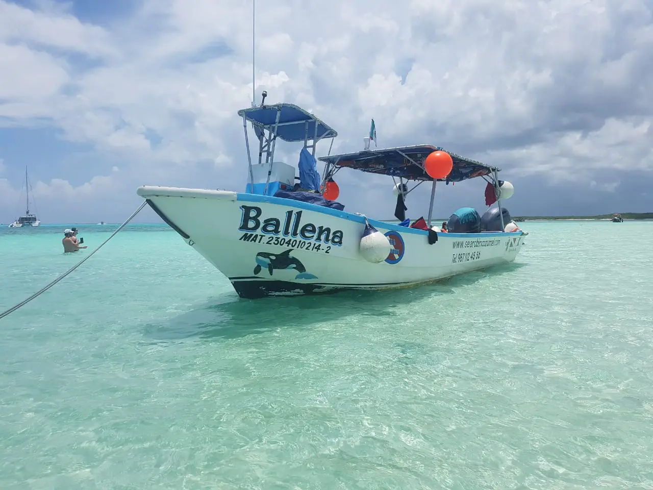 Sea Robin Cozumel