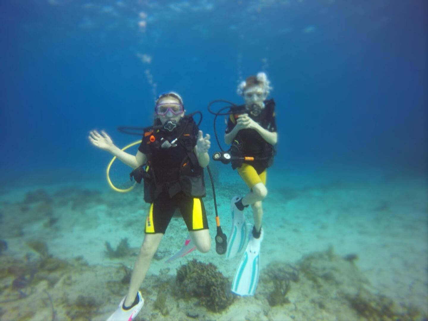 Sea Robin Cozumel